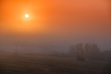 Orange foggy autumn morning, beautiful calm scenery, edit space