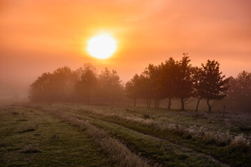 Fototapeta na wymiar Autumn morning, sunrise in background. Warm colors