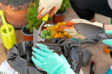 close-up detail of a girl's hands and the mother with gloves and a gardening shovel transplanting a plant into a pot