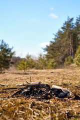 Portrait picture of pile of charcoal with trees and forest in background, left from campfire