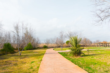 Natural Park (Paraje Natural del Prat de Cabanes-Torreblanca, Valencian Community, Spain). Peaceful natural area in Torrenostra.