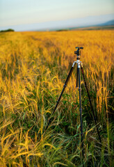 Photo tripod standing in a wheat field ready for shooting