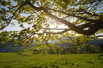 House in the mountains