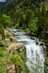 Fototapeta na wymiar Sucesión de pequeñas cascadas en un río de montaña rodeado por bosques y paredes de roca en el Parque Nacional de Ordesa, en los Pirineos españoles