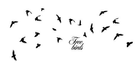 A flock of flying birds. Vector illustration