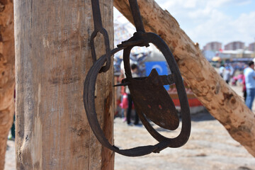 the horseshoe hanging on the tree