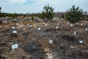 Old cemetery for homeless and people without relatives