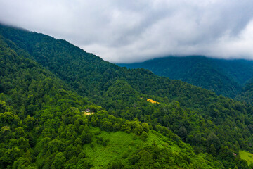 Fototapeta na wymiar Mtirala National Park, Adjara, Georgia