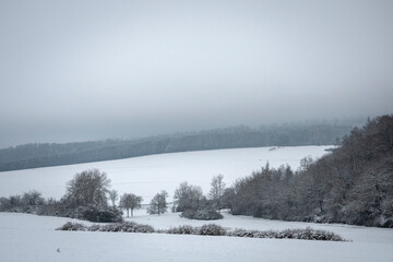A beautiful picture of a snowy field lined with forest