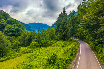 Mtirala National Park, Adjara, Georgia