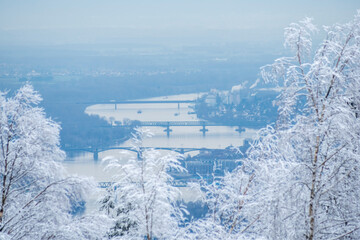 The four bridges over the Rhine between Mainz and Wiesbaden, a beautiful winter morning shot