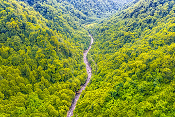 Mtirala National Park, Adjara, Georgia