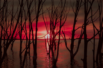 Fototapeta premium sunset over the lake