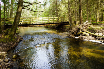 Obraz premium Natural bridge over a spring stream in a forest
