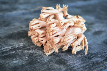 Edible mushroom Ramaria flava on the background of an old wooden table close-up.