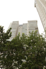 Obraz premium Beauties of nature within the city