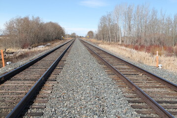 Fototapeta premium Alberta Tracks