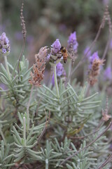 Interplay of elements of nature on a sunny day