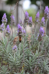 Interplay of elements of nature on a sunny day