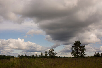 Landscape with dramatic sky and unripe wheat field at rainy summer season. Dirt road with dark storm clouds