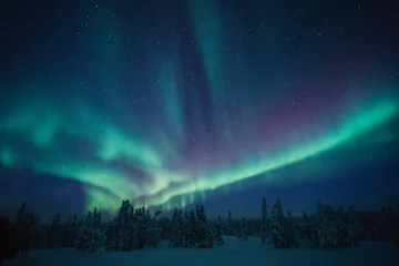 Peel and stick wall murals Northern Lights sky with aurora and stars