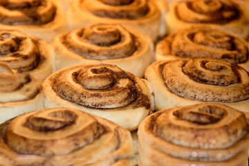 homemade cinnamon buns on baking tray, selective focus.