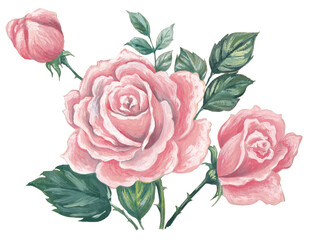Roses isolated on white background - oil painting illustration