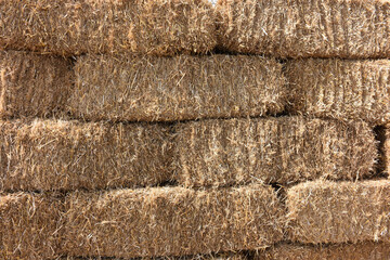 hay, haystack, agricultural, village, rural, epic, yellow, farm, agriculture, straw yellow, nature, grass, yellow grass