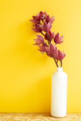 Vase of cymbidium flowers on wooden table. yellow background - obrazy, fototapety, plakaty