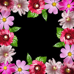 Beautiful flower frame made of mallow and cosmea. Isolated
