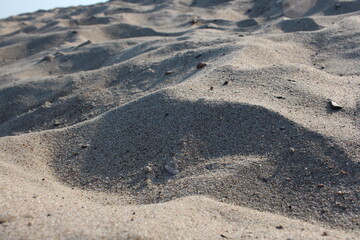 sand on the beach beach with dune rough natural background of stones
