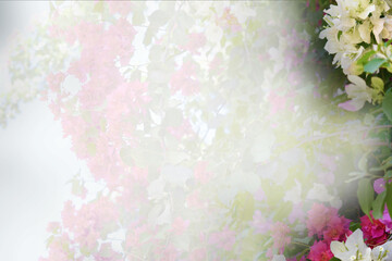 Beautiful flowers in spring background with copy space for text