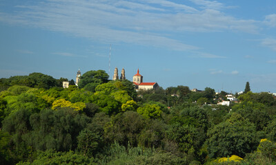 Fototapeta premium The green forest in a sunny day. View of an ancient church tower that arises from the trees beautiful foliage texture and pattern. 