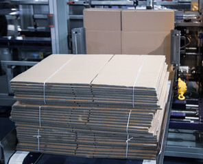 Fully Automatic Carton Erector Machine. Industrial Warehouse