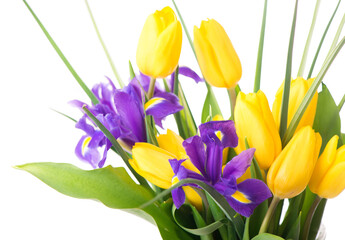 Photo with fresh spring flowers for any festive design. Yellow tulips and purple irises in a vase on a beige background, close-up