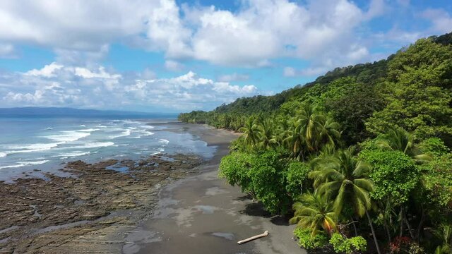 Wild empty sand beach with reefs and coconuts trees aerial Costa Rica punta banco