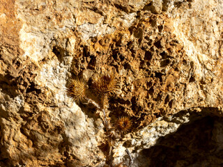 Light and shadow, a pattern created by sunlight passing through the branches of trees on a rock in a nature park in the mountains.