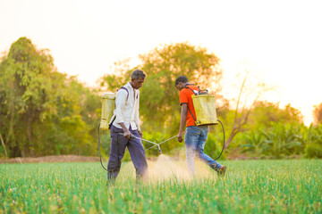 Indian farmer spraying pesticides in green onion field