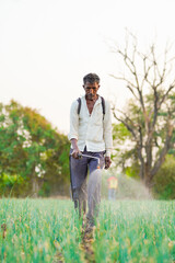 Naklejka na ściany i meble Indian farmer spraying pesticides in green onion field