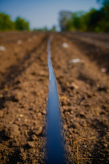 Drip irrigation system assemble in agriculture field. rural scene.