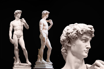 David Statue by Michelangelo -  Florence, Italy