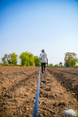 Drip irrigation system assemble in agriculture field. rural scene.
