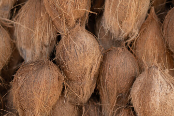 close up of coconut in market