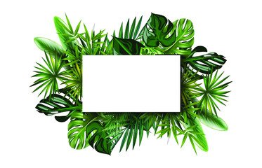 vector image frame illustration assorted monstera banana leaves and others © sure