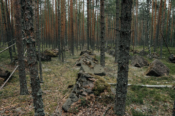 Line fortifications for defense against tanks during World War 2. Karelia