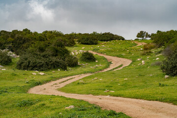 A Nature Path in Israel on a Cloudy Day