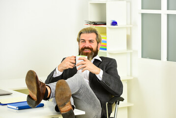 Businessman in charge successful business solutions. Developing business strategy. Man bearded boss...