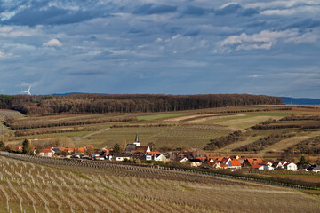 Obraz premium Weinberge, Landschaft und Winzerort Obereisenheim am Main, Landkreis Würzburg, Unterfanken, Bayern, Deutschland