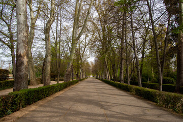 Fototapeta na wymiar Paseo de los jardines del principe de Aranjuez