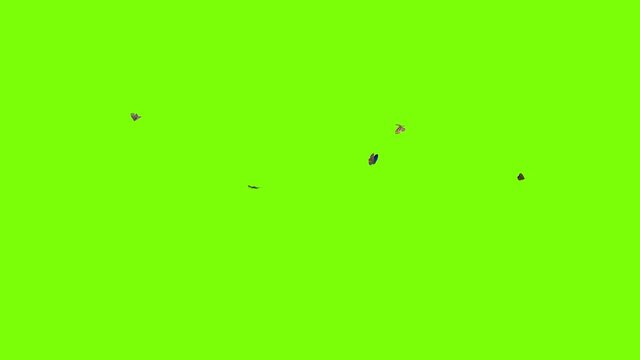 A group of beautiful butterflies flying around freely, 3D rendered animation
